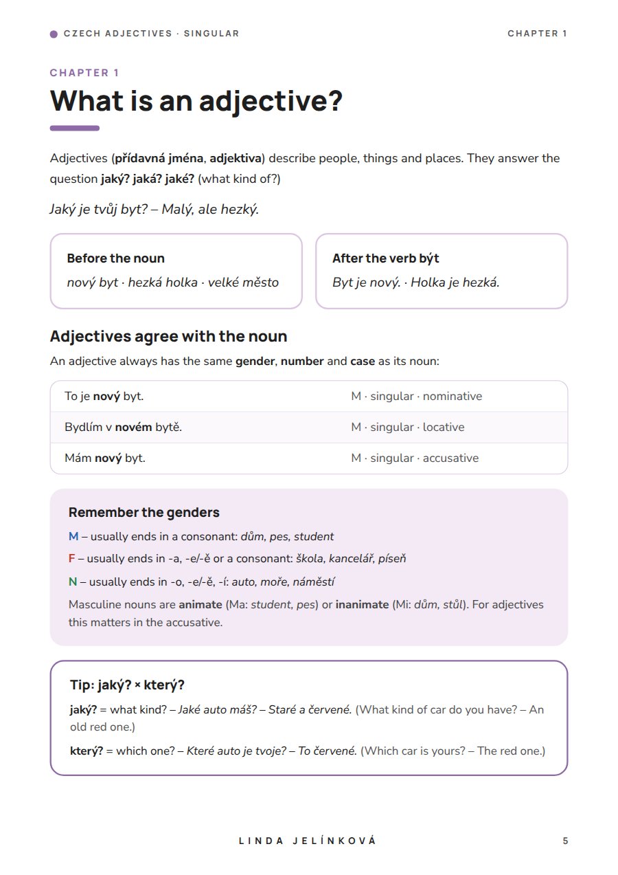 Sample page from Czech Adjectives – Singular